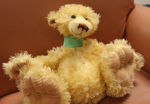 Yellow bear -- a.k.a. 'Rookie' Yellow bear -- a.k.a. 'Rookie'