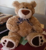 Tori's teddy bear